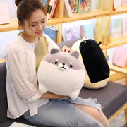 young woman playing with with black and gray cute kawaii chonky angry shiba inu plushies