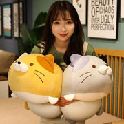 young woman holding cute kawaii chonky squishy soft kitty cat plushies