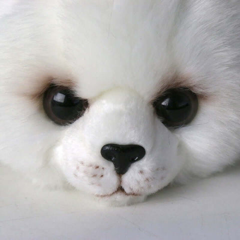 fluffy cute kawaii chonky white seal plushie with realistic baby harp seal design